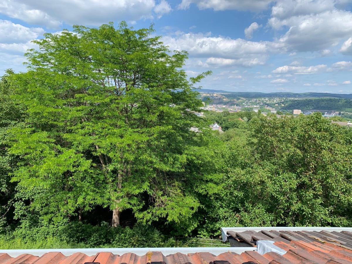 Wohlfühloase mitten in Koblenz Karthause Exterior foto