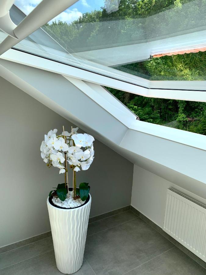 Wohlfühloase mitten in Koblenz Karthause Exterior foto